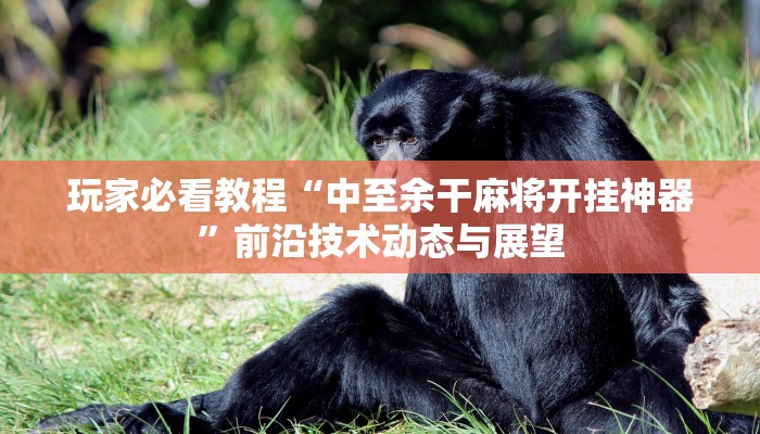 玩家必看教程“中至余干麻将开挂神器”前沿技术动态与展望 玩家必看教程“中至余干麻将开挂神器”前沿技术动态与展望