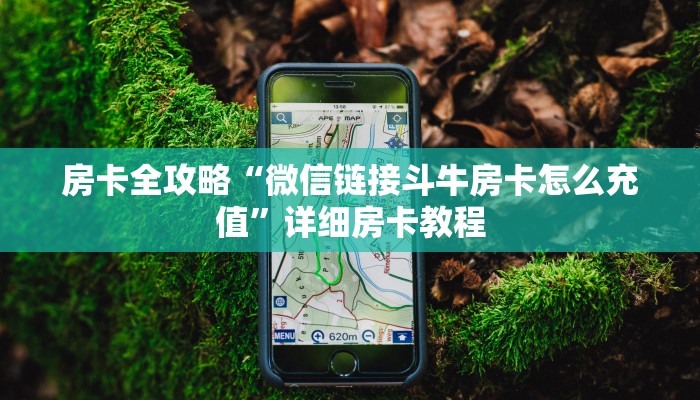 秒懂攻略“微信群打金花房卡价格”详细房卡教程