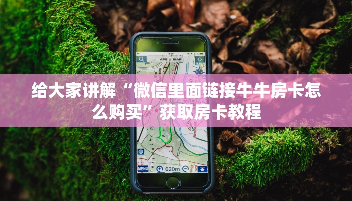 给大家讲解“微信里面链接牛牛房卡怎么购买”获取房卡教程 给大家讲解“微信里面链接牛牛房卡怎么购买”获取房卡教程