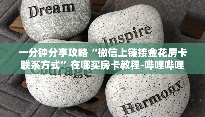 一分钟分享攻略“微信上链接金花房卡联系方式”在哪买房卡教程-哔哩哔哩 一分钟分享攻略“微信上链接金花房卡联系方式”在哪买房卡教程-哔哩哔哩