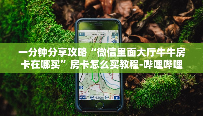 一分钟分享攻略“微信里面大厅牛牛房卡在哪买”房卡怎么买教程-哔哩哔哩