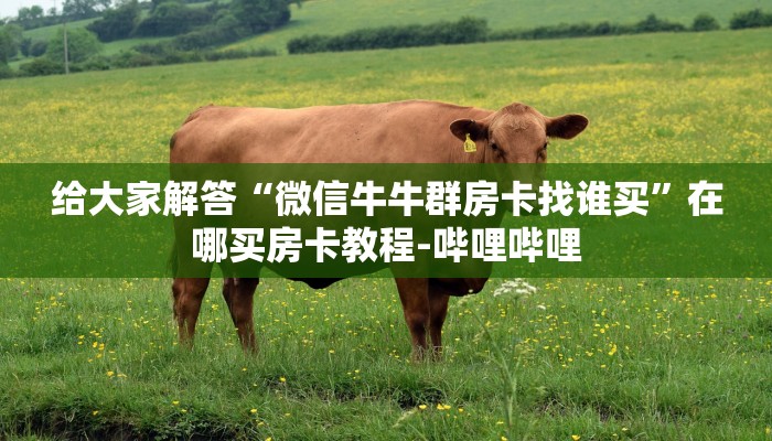 给大家解答“微信牛牛群房卡找谁买”在哪买房卡教程-哔哩哔哩