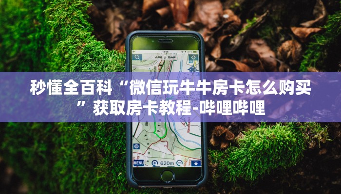 秒懂全百科“微信玩牛牛房卡怎么购买”获取房卡教程-哔哩哔哩