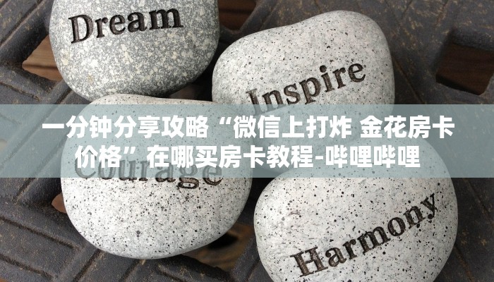 一分钟分享攻略“微信上打炸 金花房卡价格”在哪买房卡教程-哔哩哔哩
