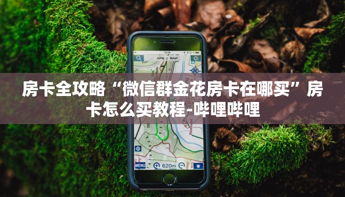 房卡全攻略“微信群金花房卡在哪买”房卡怎么买教程-哔哩哔哩